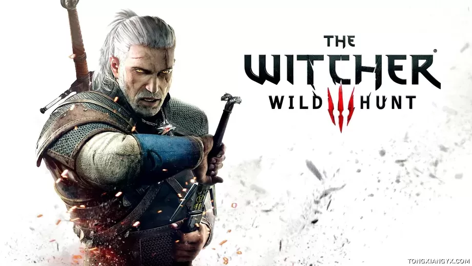 The Witcher 3 Wild Hunt.webp