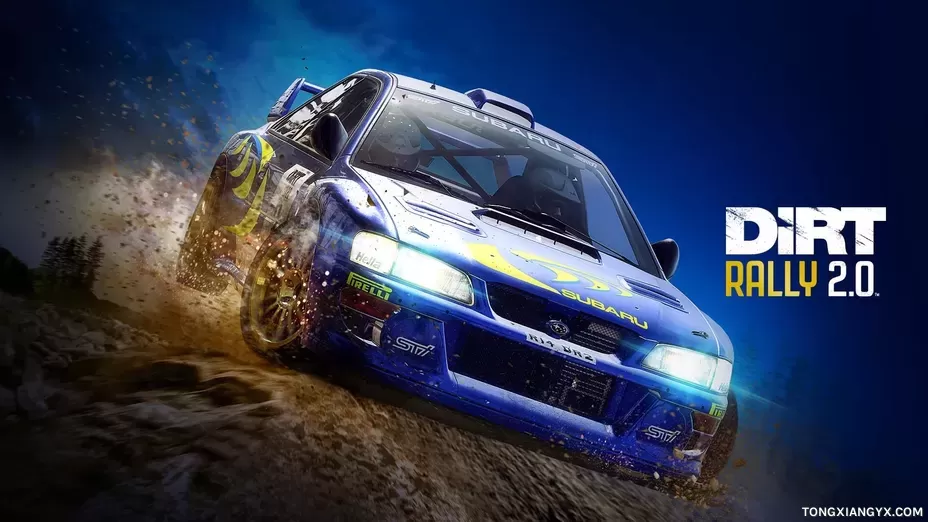 DiRT Rally 2.0.webp