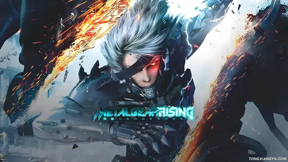 合金装备崛起：复仇 | METAL GEAR RISING: REVENGEANCE steam离线账号