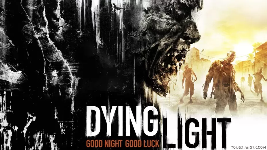 消逝的光芒 / Dying Light steam离线账号